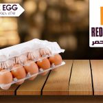 بيض احمر مغلف 15 بيضه - بيور