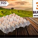 بيض بلدي 30بيضه - بيور